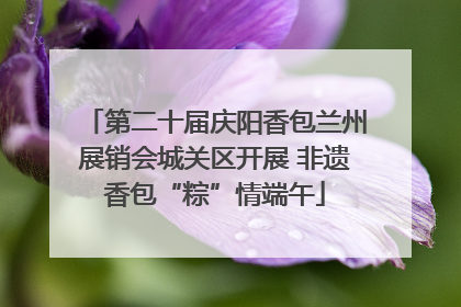 第二十届庆阳香包兰州展销会城关区开展 非遗香包“粽”情端午