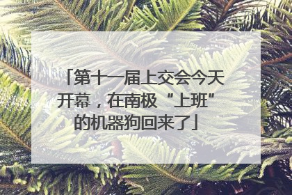 第十一届上交会今天开幕，在南极“上班”的机器狗回来了