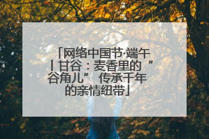 网络中国节·端午丨甘谷：麦香里的“谷角儿” 传承千年的亲情纽带