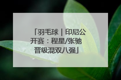 羽毛球｜印尼公开赛：程星/张驰晋级混双八强