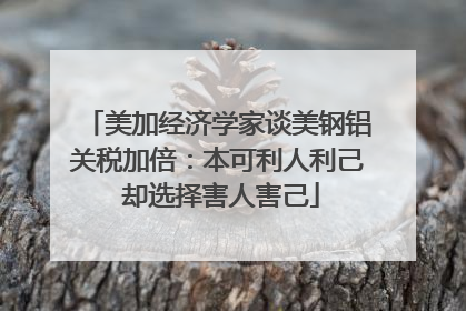 美加经济学家谈美钢铝关税加倍：本可利人利己 却选择害人害己
