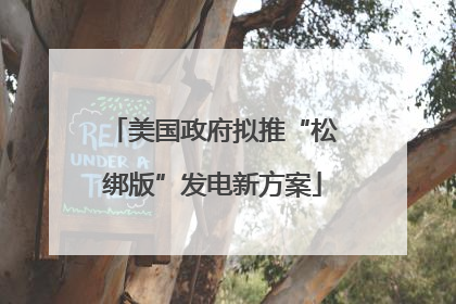 美国政府拟推“松绑版”发电新方案