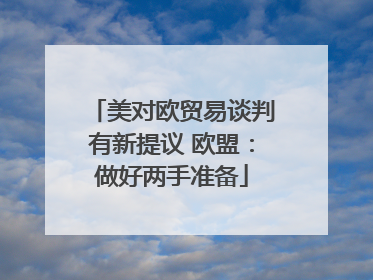美对欧贸易谈判有新提议 欧盟：做好两手准备