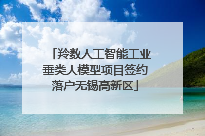 羚数人工智能工业垂类大模型项目签约落户无锡高新区