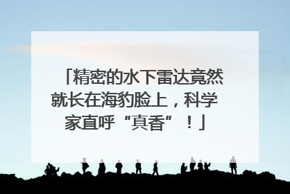 精密的水下雷达竟然就长在海豹脸上，科学家直呼“真香”！