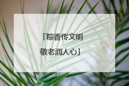 粽香传文明 敬老润人心