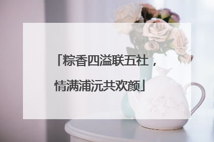 粽香四溢联五社，情满浦沅共欢颜