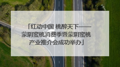 红动中国 桃醉天下——蒙阴蜜桃消费季暨蒙阴蜜桃产业推介会成功举办