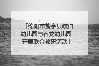 绵阳市盐亭县岐伯幼儿园与石龙幼儿园开展联合教研活动