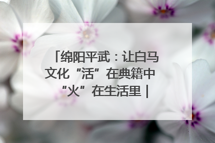 绵阳平武：让白马文化“活”在典籍中 “火”在生活里｜新闻发布最前线