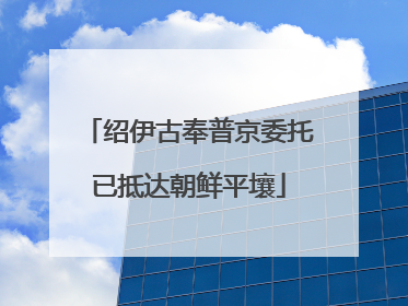 绍伊古奉普京委托已抵达朝鲜平壤