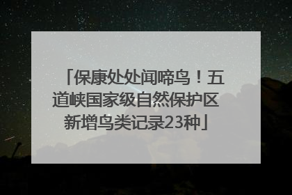 保康处处闻啼鸟！五道峡国家级自然保护区新增鸟类记录23种