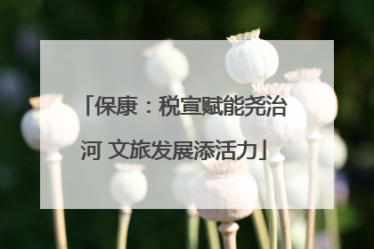 保康：税宣赋能尧治河 文旅发展添活力