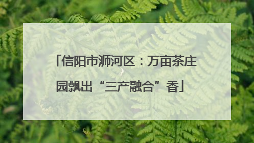 信阳市浉河区：万亩茶庄园飘出“三产融合”香