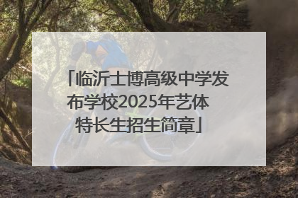 临沂士博高级中学发布学校2025年艺体特长生招生简章