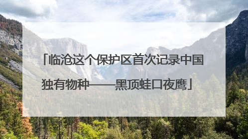 临沧这个保护区首次记录中国独有物种——黑顶蛙口夜鹰