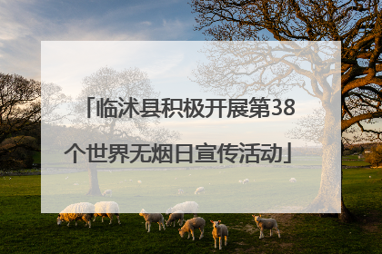 临沭县积极开展第38个世界无烟日宣传活动