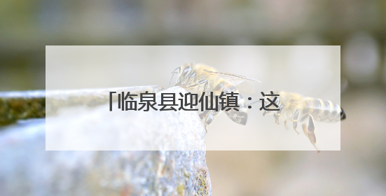 临泉县迎仙镇：这只“鸡”如何引领乡村经济展翅飞翔？