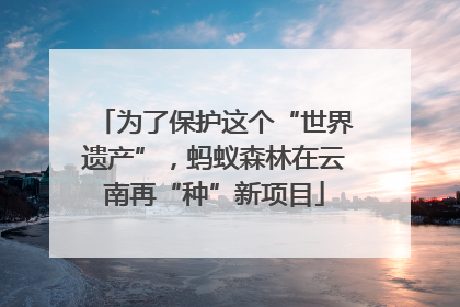 为了保护这个“世界遗产”，蚂蚁森林在云南再“种”新项目