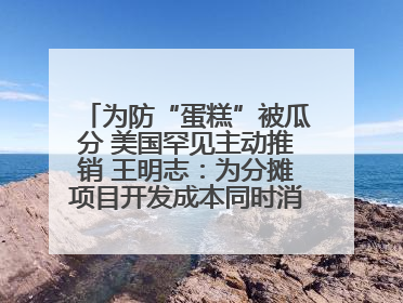 为防“蛋糕”被瓜分 美国罕见主动推销 王明志：为分摊项目开发成本同时消除潜在威胁
