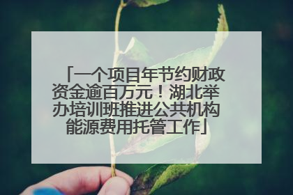 一个项目年节约财政资金逾百万元！湖北举办培训班推进公共机构能源费用托管工作