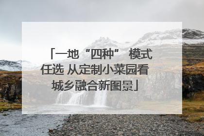 一地“四种” 模式任选 从定制小菜园看城乡融合新图景