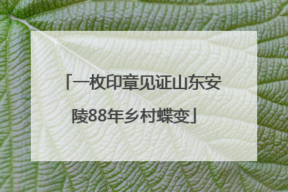 一枚印章见证山东安陵88年乡村蝶变