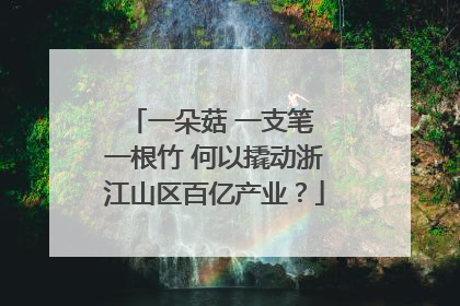 一朵菇 一支笔 一根竹 何以撬动浙江山区百亿产业？