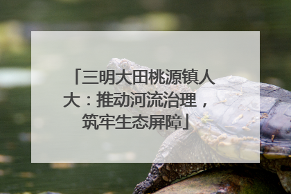 三明大田桃源镇人大：推动河流治理，筑牢生态屏障