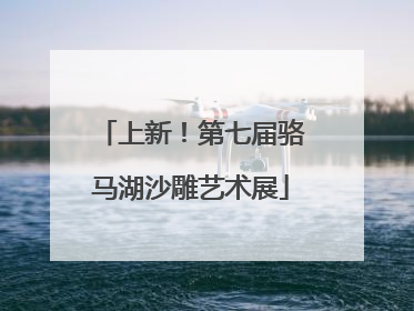 上新！第七届骆马湖沙雕艺术展