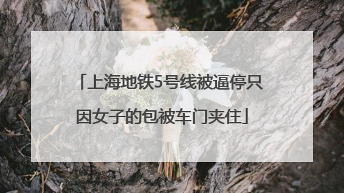 上海地铁5号线被逼停只因女子的包被车门夹住