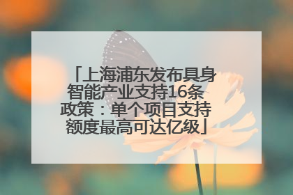 上海浦东发布具身智能产业支持16条政策：单个项目支持额度最高可达亿级
