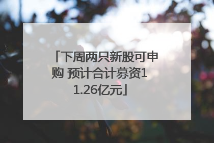 下周两只新股可申购 预计合计募资11.26亿元