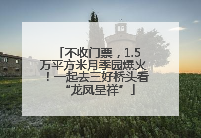 不收门票，1.5万平方米月季园爆火！一起去三好桥头看“龙凤呈祥”