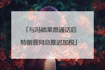 与冯德莱恩通话后 特朗普同意推迟加税