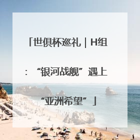 世俱杯巡礼｜H组：“银河战舰”遇上“亚洲希望”
