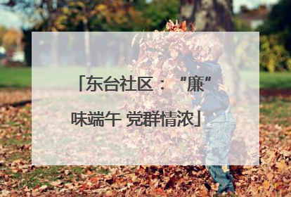 东台社区：“廉”味端午 党群情浓