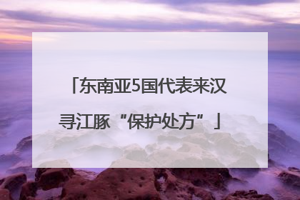 东南亚5国代表来汉寻江豚“保护处方”