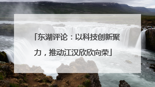 东湖评论：以科技创新聚力，推动江汉欣欣向荣