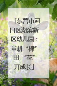 东营市河口区湖滨新区幼儿园：童耕“棉”田 “花”开成长