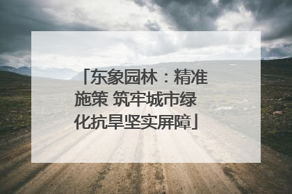 东象园林：精准施策 筑牢城市绿化抗旱坚实屏障