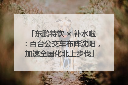 东鹏特饮 × 补水啦：百台公交车布阵沈阳，加速全国化北上步伐