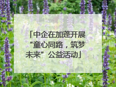 中企在加蓬开展“童心同路，筑梦未来”公益活动