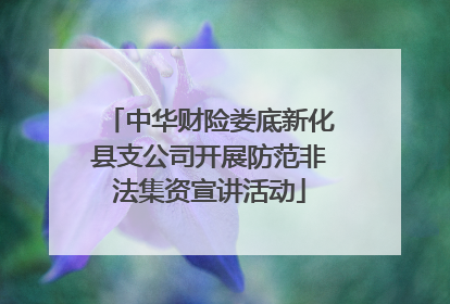 中华财险娄底新化县支公司开展防范非法集资宣讲活动
