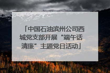 中国石油滨州公司西城党支部开展“端午话清廉”主题党日活动
