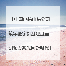 中国电信山东公司：筑牢数字新基建基座 引领万兆光网新时代