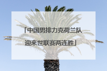 中国男排力克荷兰队 迎来世联赛两连胜