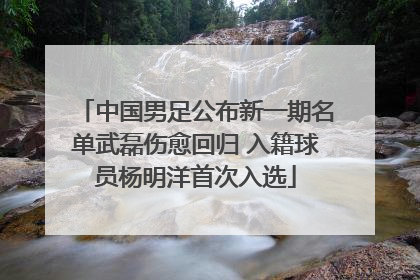 中国男足公布新一期名单武磊伤愈回归 入籍球员杨明洋首次入选