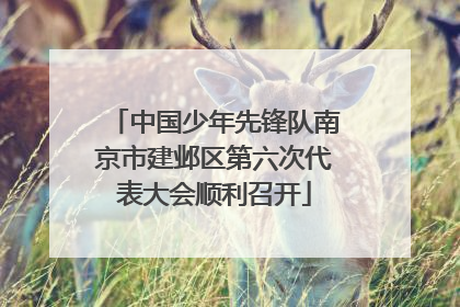 中国少年先锋队南京市建邺区第六次代表大会顺利召开
