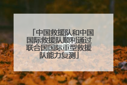 中国救援队和中国国际救援队顺利通过联合国国际重型救援队能力复测